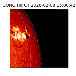 gong - 2026-02-08T15:00:42