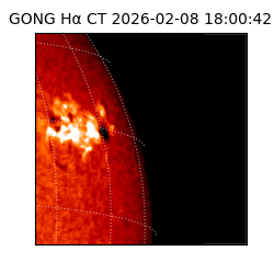 gong - 2026-02-08T18:00:42