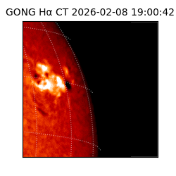 gong - 2026-02-08T19:00:42