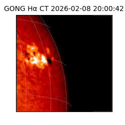 gong - 2026-02-08T20:00:42