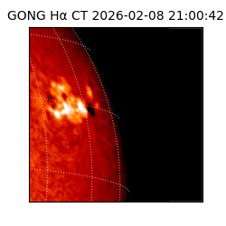 gong - 2026-02-08T21:00:42