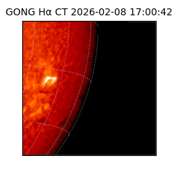 gong - 2026-02-08T17:00:42
