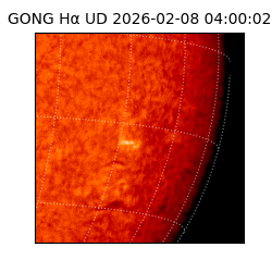 gong - 2026-02-08T04:00:02