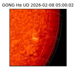 gong - 2026-02-08T05:00:02