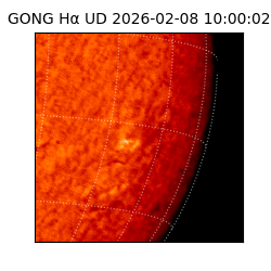 gong - 2026-02-08T10:00:02