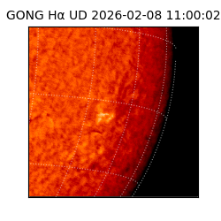 gong - 2026-02-08T11:00:02