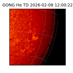 gong - 2026-02-08T12:00:22