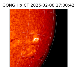 gong - 2026-02-08T17:00:42