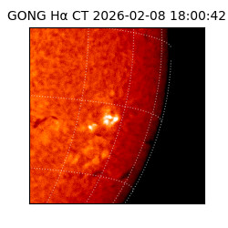 gong - 2026-02-08T18:00:42