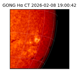 gong - 2026-02-08T19:00:42
