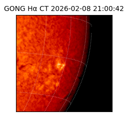 gong - 2026-02-08T21:00:42
