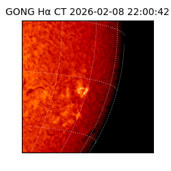 gong - 2026-02-08T22:00:42