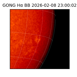 gong - 2026-02-08T23:00:02
