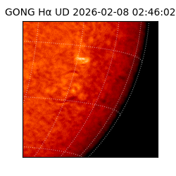 gong - 2026-02-08T02:46:02