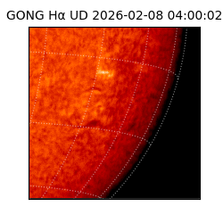 gong - 2026-02-08T04:00:02
