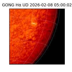 gong - 2026-02-08T05:00:02