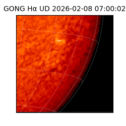 gong - 2026-02-08T07:00:02