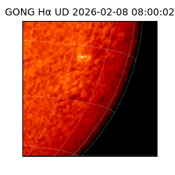 gong - 2026-02-08T08:00:02