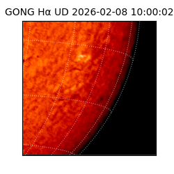 gong - 2026-02-08T10:00:02