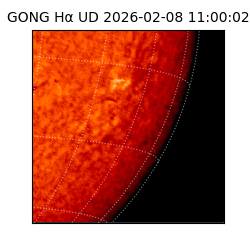 gong - 2026-02-08T11:00:02