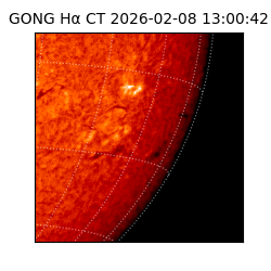 gong - 2026-02-08T13:00:42