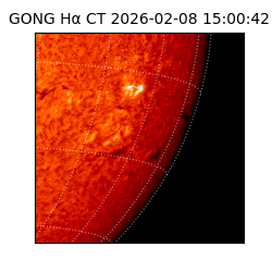 gong - 2026-02-08T15:00:42