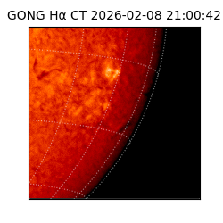gong - 2026-02-08T21:00:42