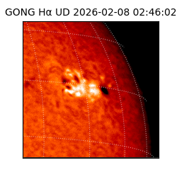 gong - 2026-02-08T02:46:02