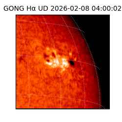 gong - 2026-02-08T04:00:02