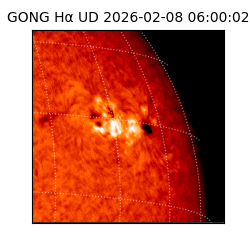 gong - 2026-02-08T06:00:02