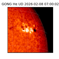 gong - 2026-02-08T07:00:02