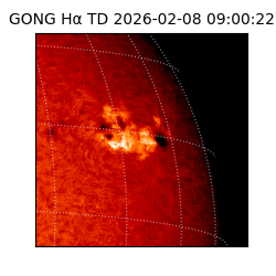 gong - 2026-02-08T09:00:22