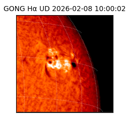 gong - 2026-02-08T10:00:02