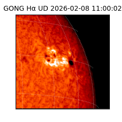 gong - 2026-02-08T11:00:02