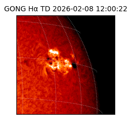 gong - 2026-02-08T12:00:22