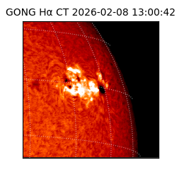 gong - 2026-02-08T13:00:42