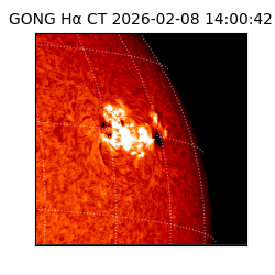 gong - 2026-02-08T14:00:42