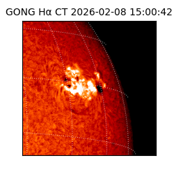 gong - 2026-02-08T15:00:42