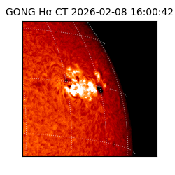 gong - 2026-02-08T16:00:42