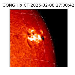 gong - 2026-02-08T17:00:42