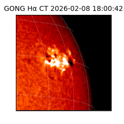 gong - 2026-02-08T18:00:42