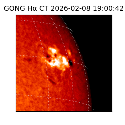 gong - 2026-02-08T19:00:42