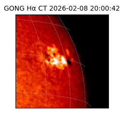 gong - 2026-02-08T20:00:42