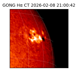 gong - 2026-02-08T21:00:42