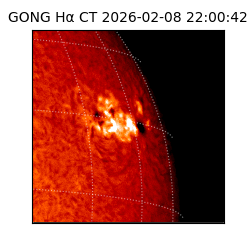 gong - 2026-02-08T22:00:42