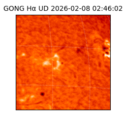 gong - 2026-02-08T02:46:02