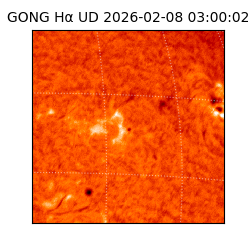 gong - 2026-02-08T03:00:02