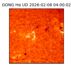 gong - 2026-02-08T04:00:02