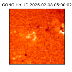 gong - 2026-02-08T05:00:02
