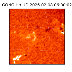 gong - 2026-02-08T06:00:02